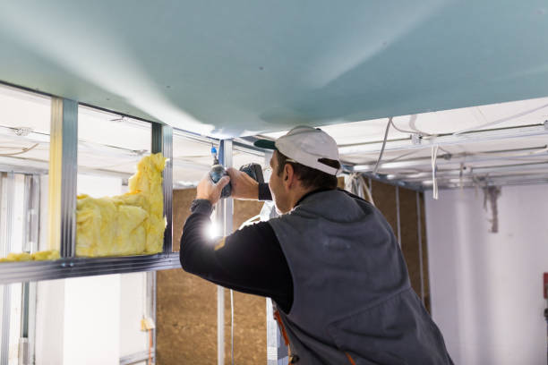Best Energy Efficiency Insulation in Emmitsburg, MD