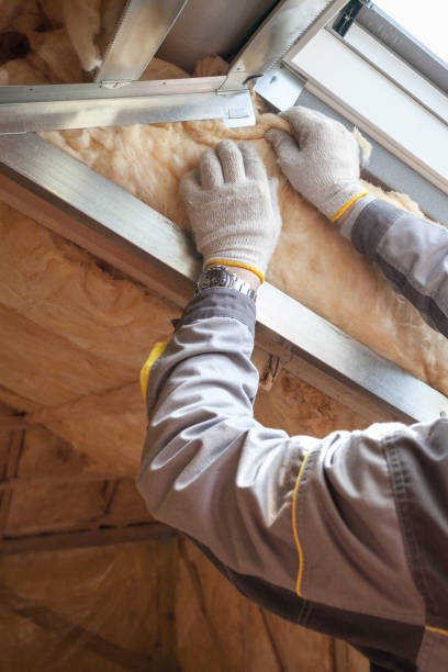 Best Residential Insulation in Emmitsburg, MD