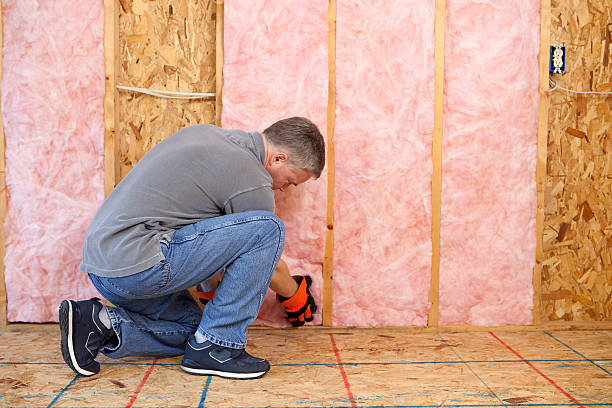 Best Eco-Friendly Insulation in Emmitsburg, MD